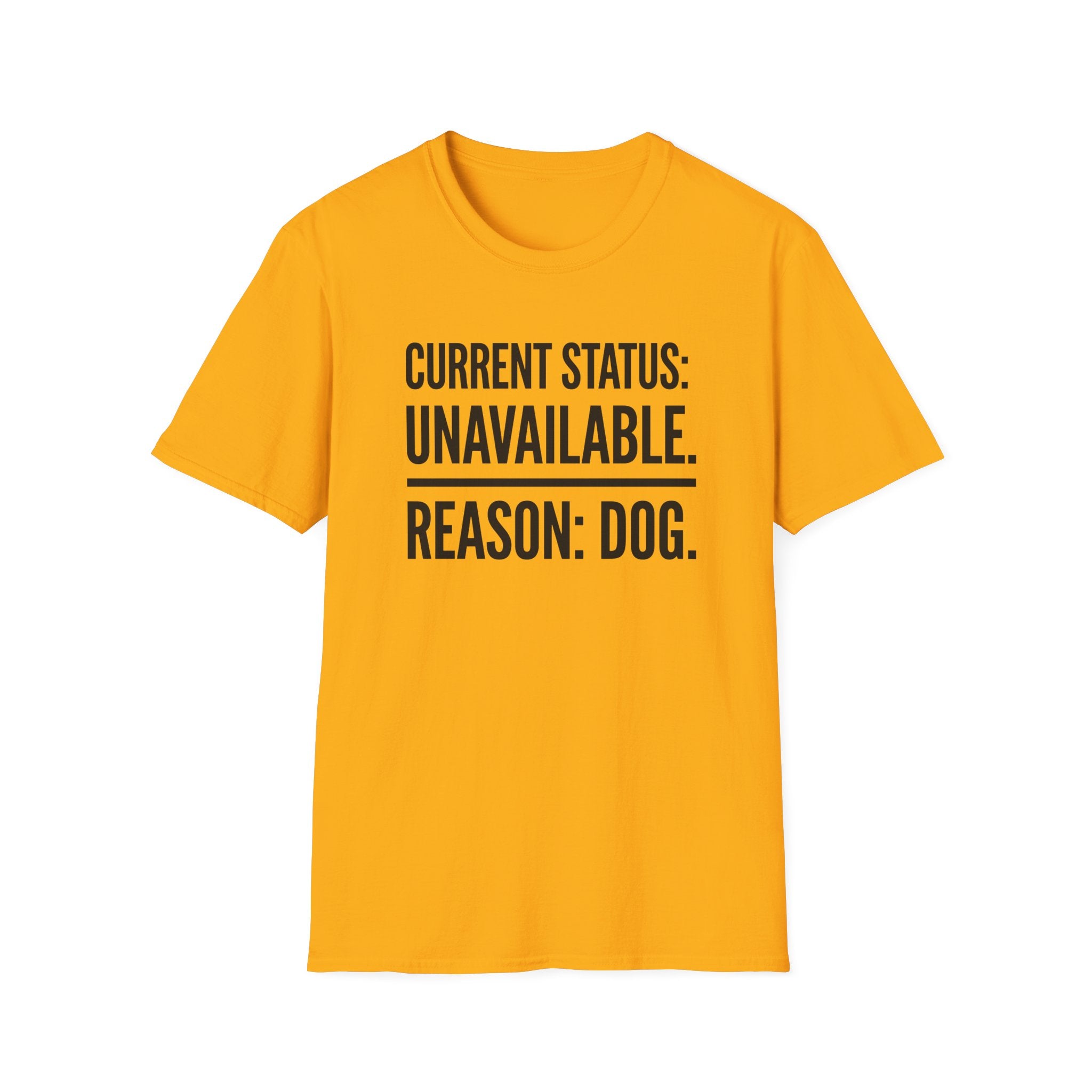 Current Status T-Shirt